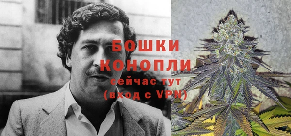 трава Ладушкин