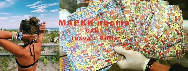 PSILOCYBIN Кукмор