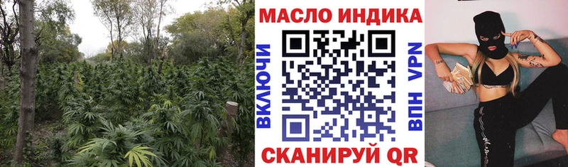 Купить где  Бологое  ТГК концентрат 